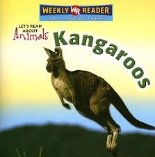 Image result for Reading Kangaroos