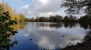 Image result for Broadwater Park Golf Club