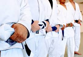 Image result for Martial Arts Karate Mesa AZ