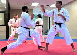 Image result for Levern Tora-Kai Karate Club