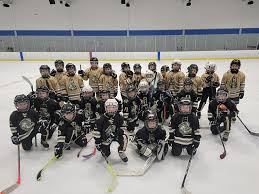 Image result for Midland Vikings