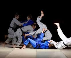 Image result for Halton BJJ & Judo Club