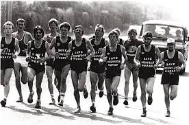 Image result for Horwich Rmi Harriers & Athletics Club