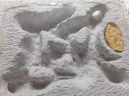 Image result for ytong ants