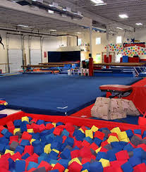 Image result for Redcar School Of Gymnastics