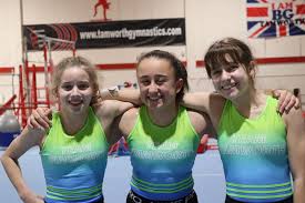 Image result for Tamworth Olympic Gymnastics Club