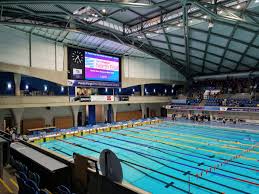 Image result for Sedgefield 75 Swimming Club