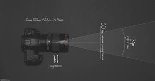 Attēlu rezultāti vaicājumam “Licea minima macro”