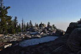 Image result for mountain top seashell