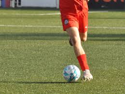 Image result for Reedham Park Sports Club