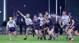 Image result for University Of Limerick Gaa Hurling Club