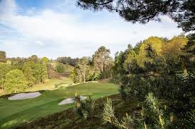 Image result for Hindhead Golf Club
