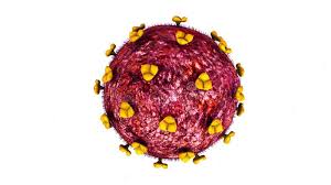 Image result for фотография вируса вич