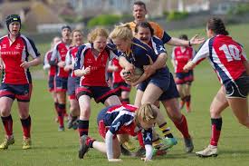 Image result for Ellingham and Ringwood Rfc