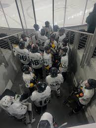 Image result for Leigh Hockey Club