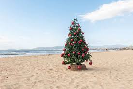 Image result for weihnachten in australien