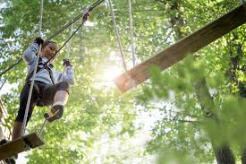 Image result for The Go Ape Experience (Swinley Forest)
