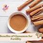 cinnamon tea Cinnamon for male fertility from bocahindonesia.com