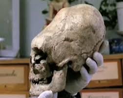 Image result for elongated skulls