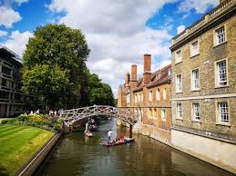 Image result for Cambridge Ultimate