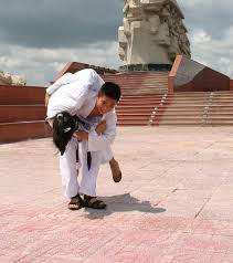 Image result for Harold Hill Aikido Club