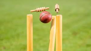 Image result for Much Wenlock Cricket Club