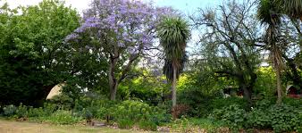 Image result for St Vincent Bowling Club