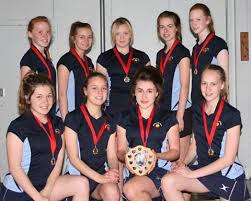 Image result for Haxby Netball Club