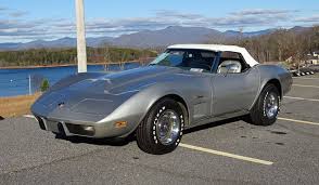 Image result for Silver Blue 1975 Chevrolet