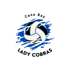 Image result for Chesterfield Cobras Volleyball Club