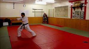 Image result for British Karate Shunen Jutsu
