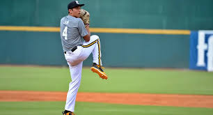 Image result for World Groundball Association