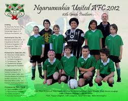 Image result for Hamilton Panthers Association Football Club