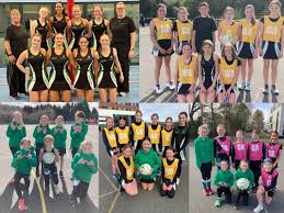 Image result for Wealden Netball Club