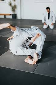 Image result for yonju dojo