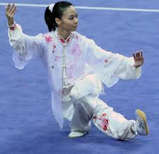 Image result for Wushu Tai Chi Club