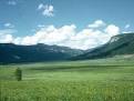 Grassland 3