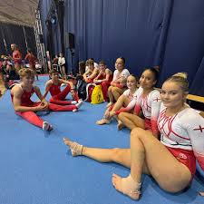 Image result for Park Wrekin Gymnastics Club