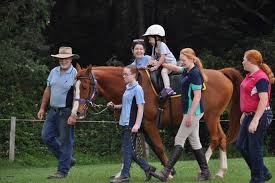 Image result for Riding For The Disabled Association