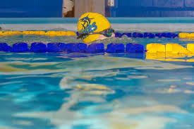 Image result for Worcester Swimming Club