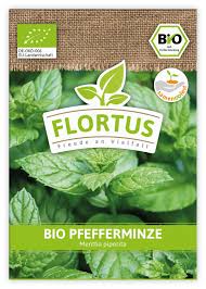 Image result for Pfefferminze