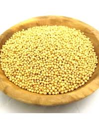 Attēlu rezultāti vaicājumam “Sinapis alba fruit”