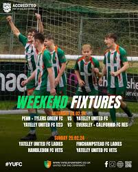 Image result for Yateley and Hawley Bridge Club