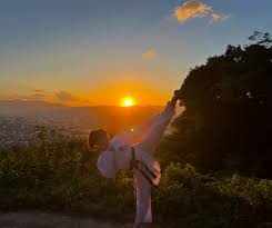 Image result for Haxby karate club