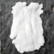 Image result for white rabbit skin texture
