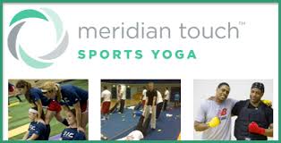 Image result for Team Meridian