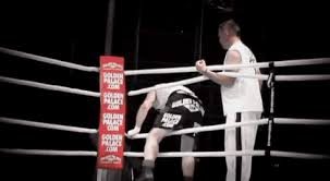 Image result for Uwe Boxing Club