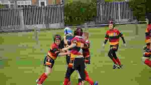 Image result for West Haughton Lions Rugby League Football Club