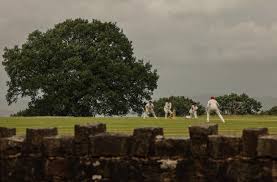 Image result for Antelope & Castle Cricket Club