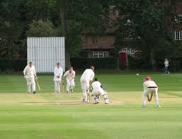 Image result for Trinity Cricket Club
